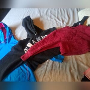 Champion Red Cozy Fleece Joggers